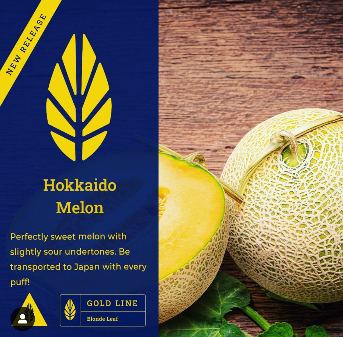 Azure Dark - Hookaido Melon - TheHoookahClub