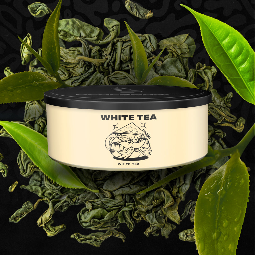 SEVERNYI - White Tea