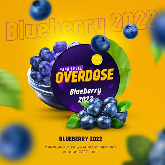 Burn - Blueberry 2022