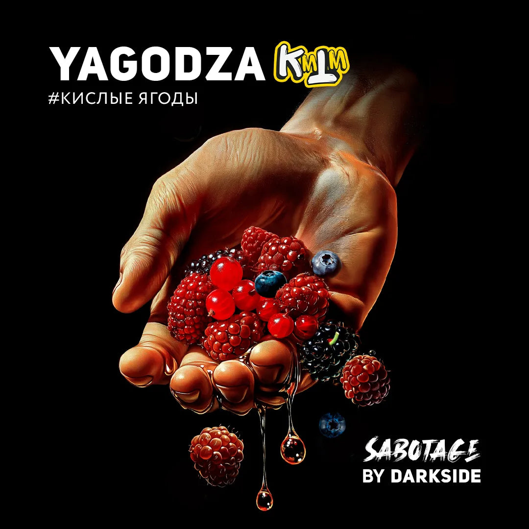 Darkside Sabotage - Yagodza