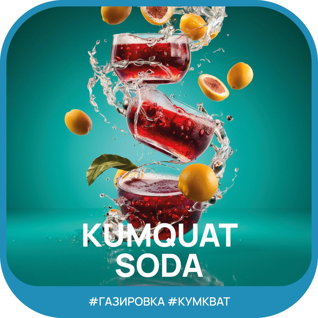 Ready Dark Leaf - Kumquat Soda