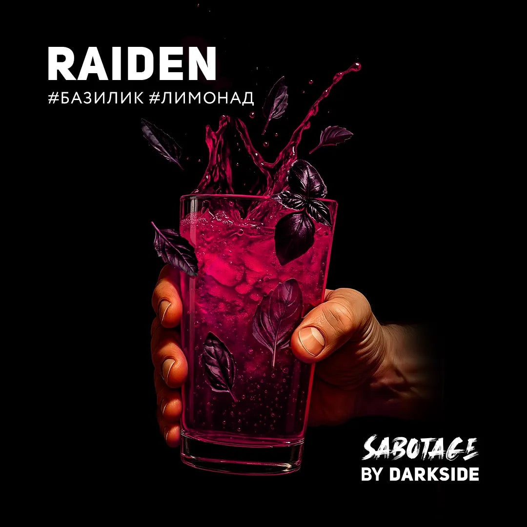 Darkside Sabotage - Raiden
