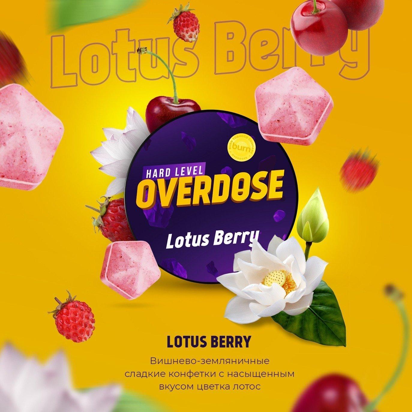 Burn Overdose - Lotus Berry - TheHoookahClub