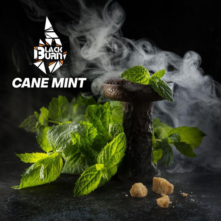 Black Burn - Cane Mint - TheHoookahClub